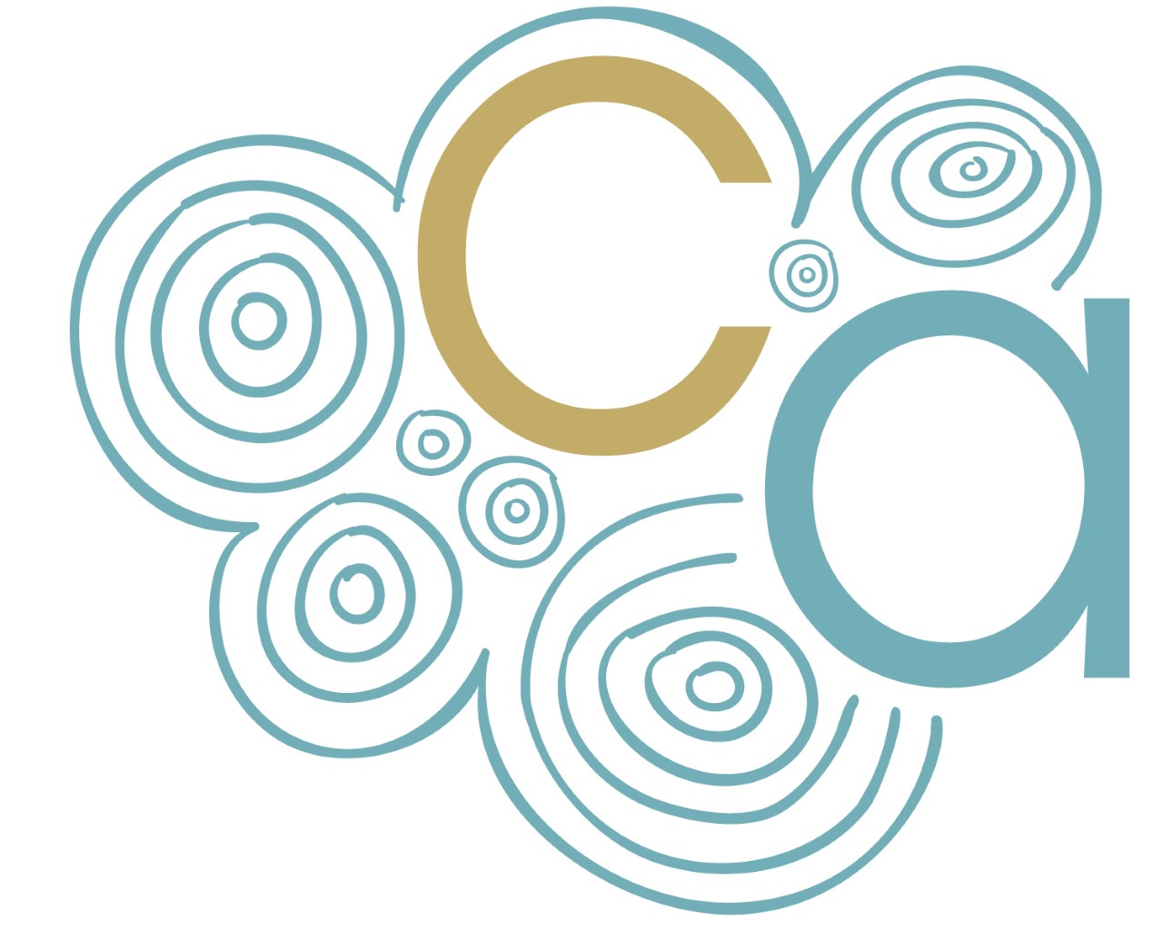Cloud Accounting & Consulting, Inc.