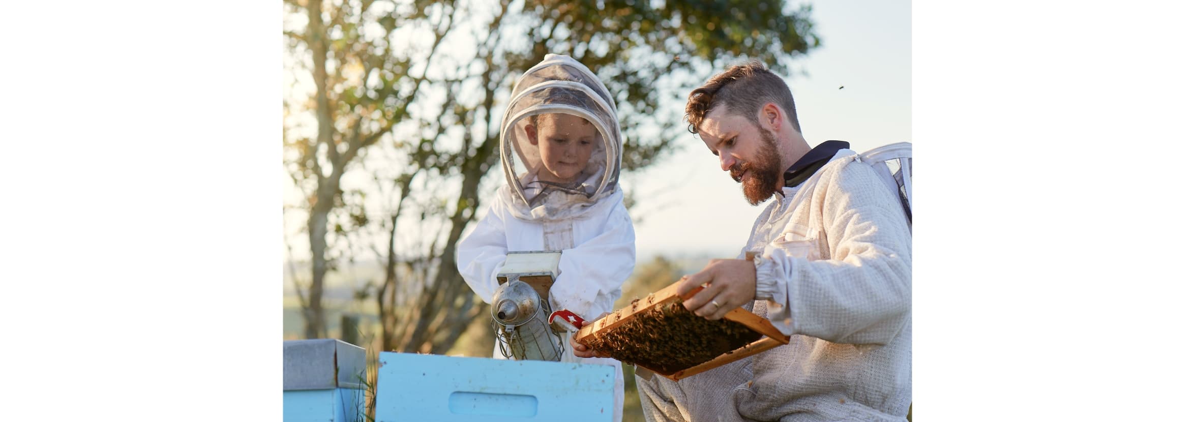 A beekeeper and child in protective clothing inspect a honey tray from a beehive.