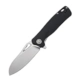 Petrified fish PF868 Bunta,3.35' D2 Satin Blade,146g G10 Handle Flipper Folding knife (Black G10, Satin)