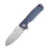 Petrified fish PF868 Bunta,3.35' D2 Satin Blade,146g G10 Handle Flipper Folding knife (Gray G10, Satin)