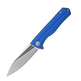 Petrified fish G10 handle D2 steel blade 2CR13 liner ball bearing flipper folding knife camping hunting EDC pocket tool PF818 (Blue, Satin)