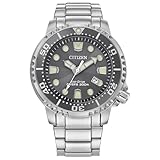 Citizen Men's Eco-Drive Promaster Dive Watch, Gray Dial, Silver-Tone Stainless Steel Bracelet (Model: BN0167-50H)
