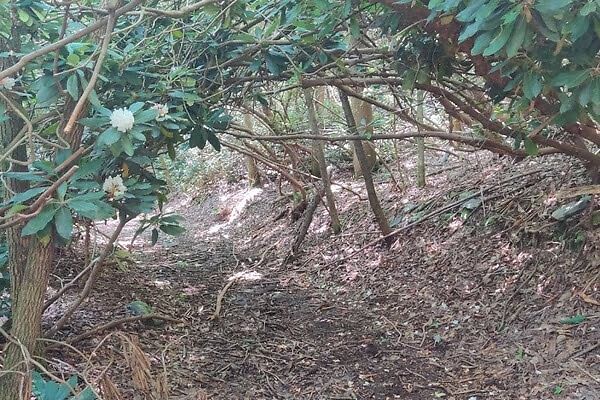 Can I use natural landmarks