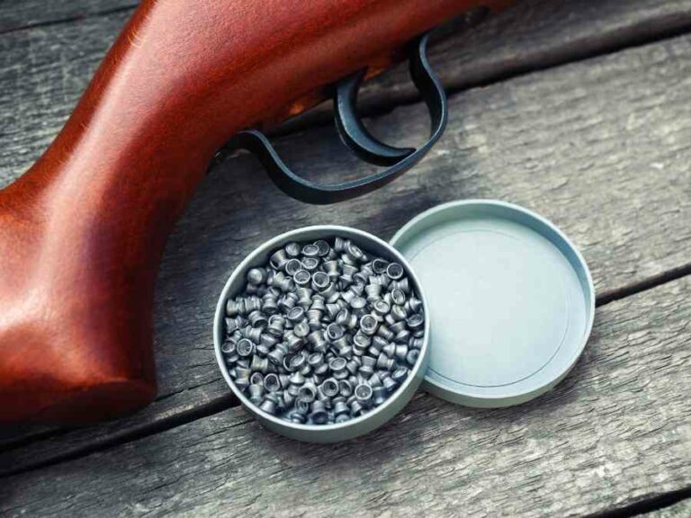 Best Air Guns For Hunting Squirrels