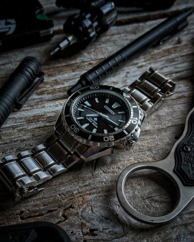 Citizen Promaster For EDC