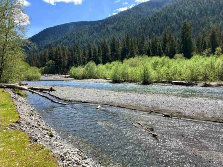 Four Hikes in Four Days at Olympic National Park