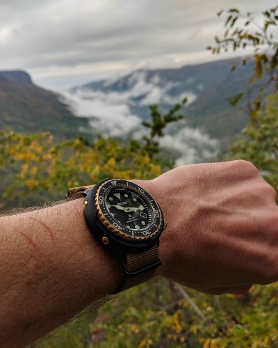 Hiking Linville Gorge