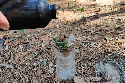 Filtering Lake Water