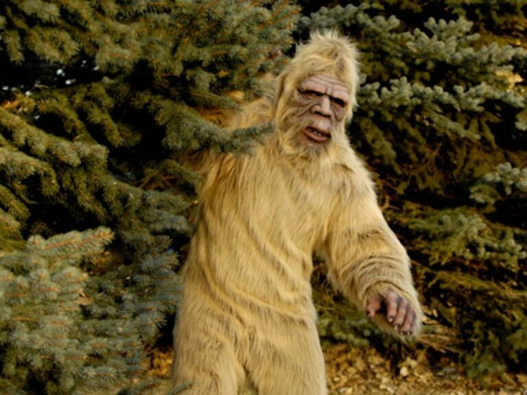 The Legend of Bigfoot: A Primer On The Mysterious Sasquatch