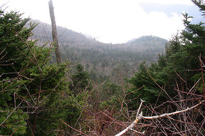 Picture Of Mount Gibbs in NC