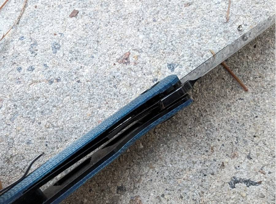 Close-up of Petrified Fish Beluga PFP01 folding knife showing liner lock mechanism and handle construction.