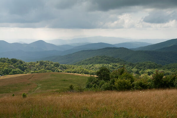 Pisgah Forest Pictures