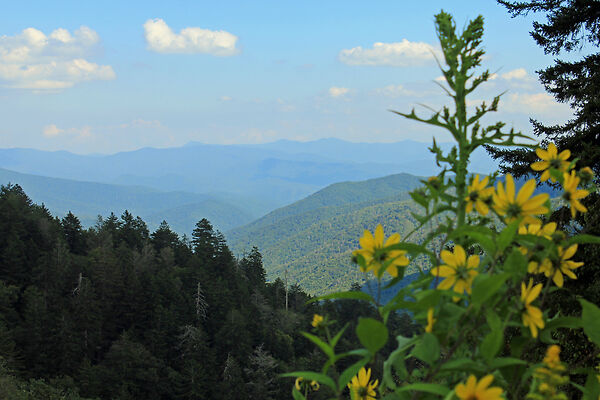 Distan View of the Smoky Mountains