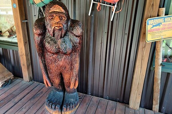 Patterson-Gimlin Film has inspired multiple generations of cryptozoologists