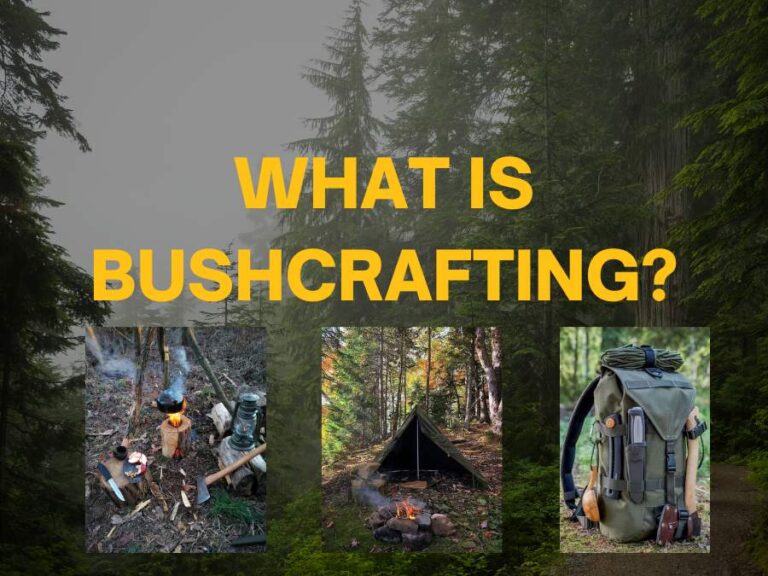 What Is Bushcrafting?